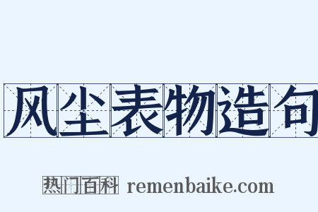 风尘表物造句是什么意思的图片